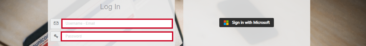 The Username-email and password fields on the login screen.